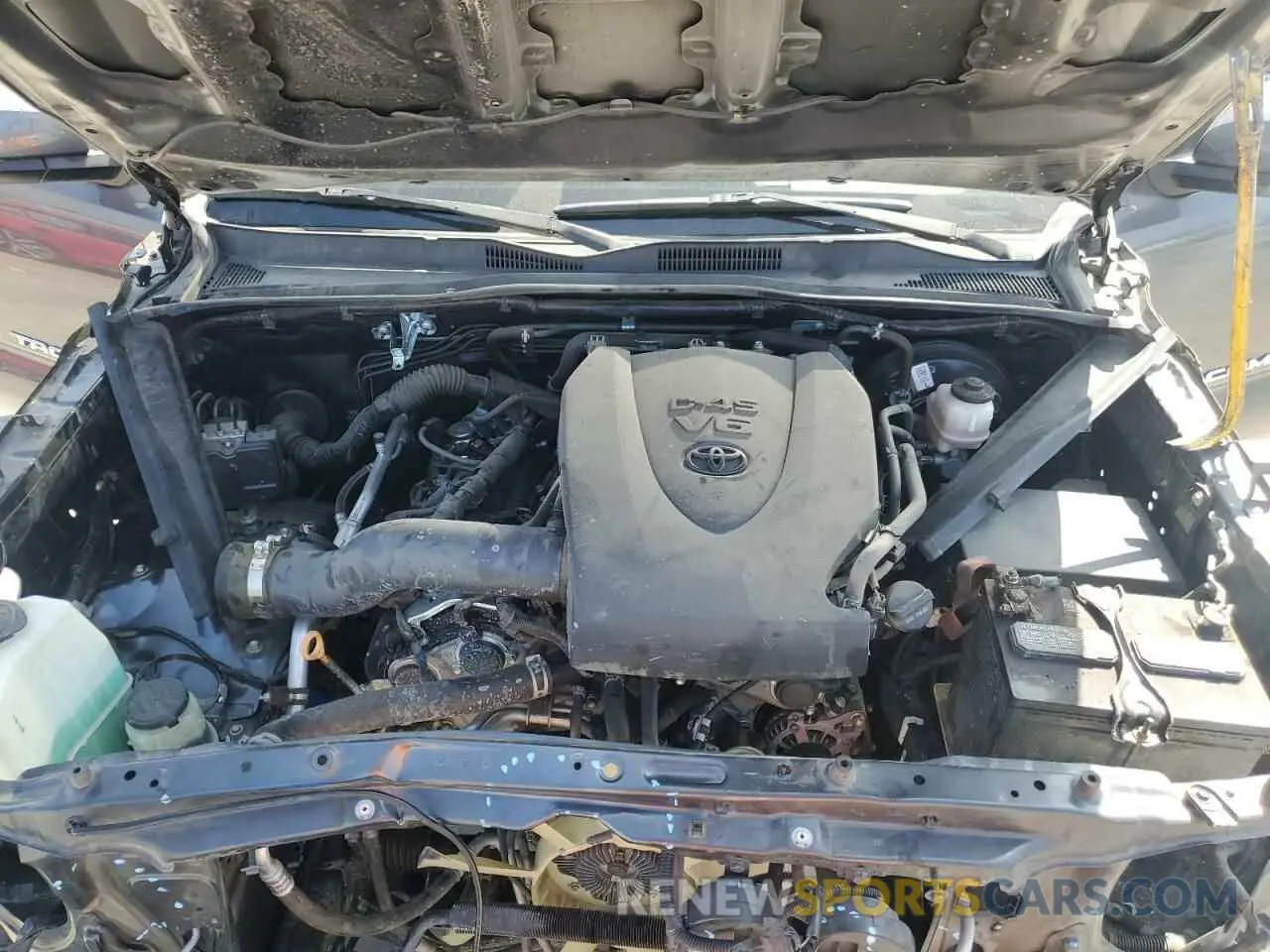 11 fotografías del automóvil dañado 3TMAZ5CN5MM142569 TOYOTA TACOMA 2021