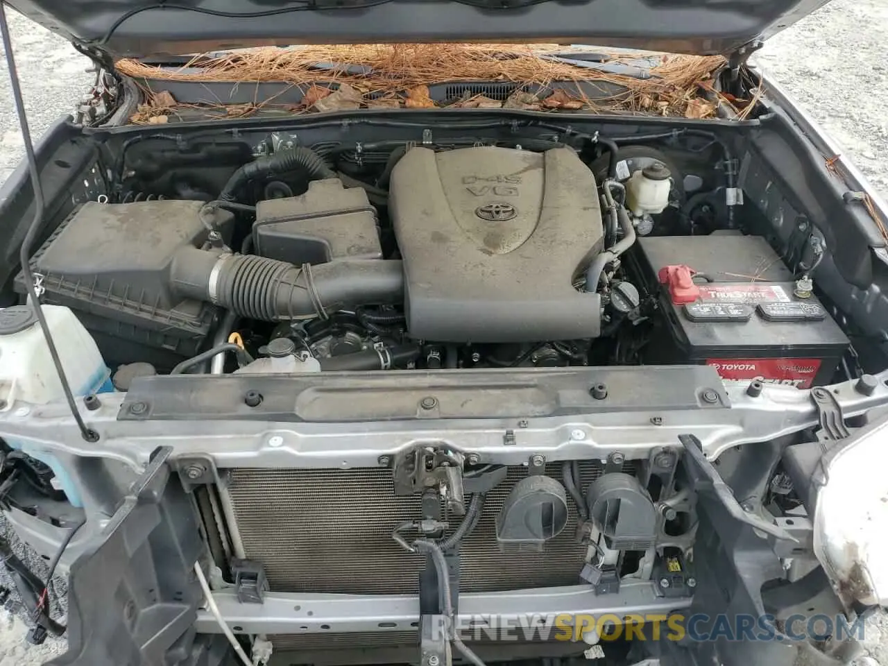 11 fotografías del automóvil dañado 3TMBZ5DN9MM030439 TOYOTA TACOMA 2021