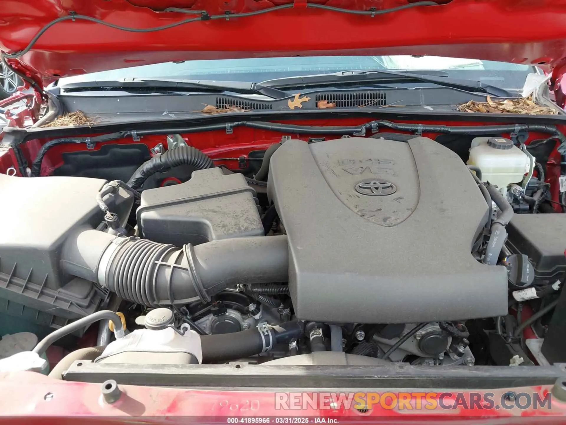 10 fotografías del automóvil dañado 3TMCZ5AN0MM416627 TOYOTA TACOMA 2021