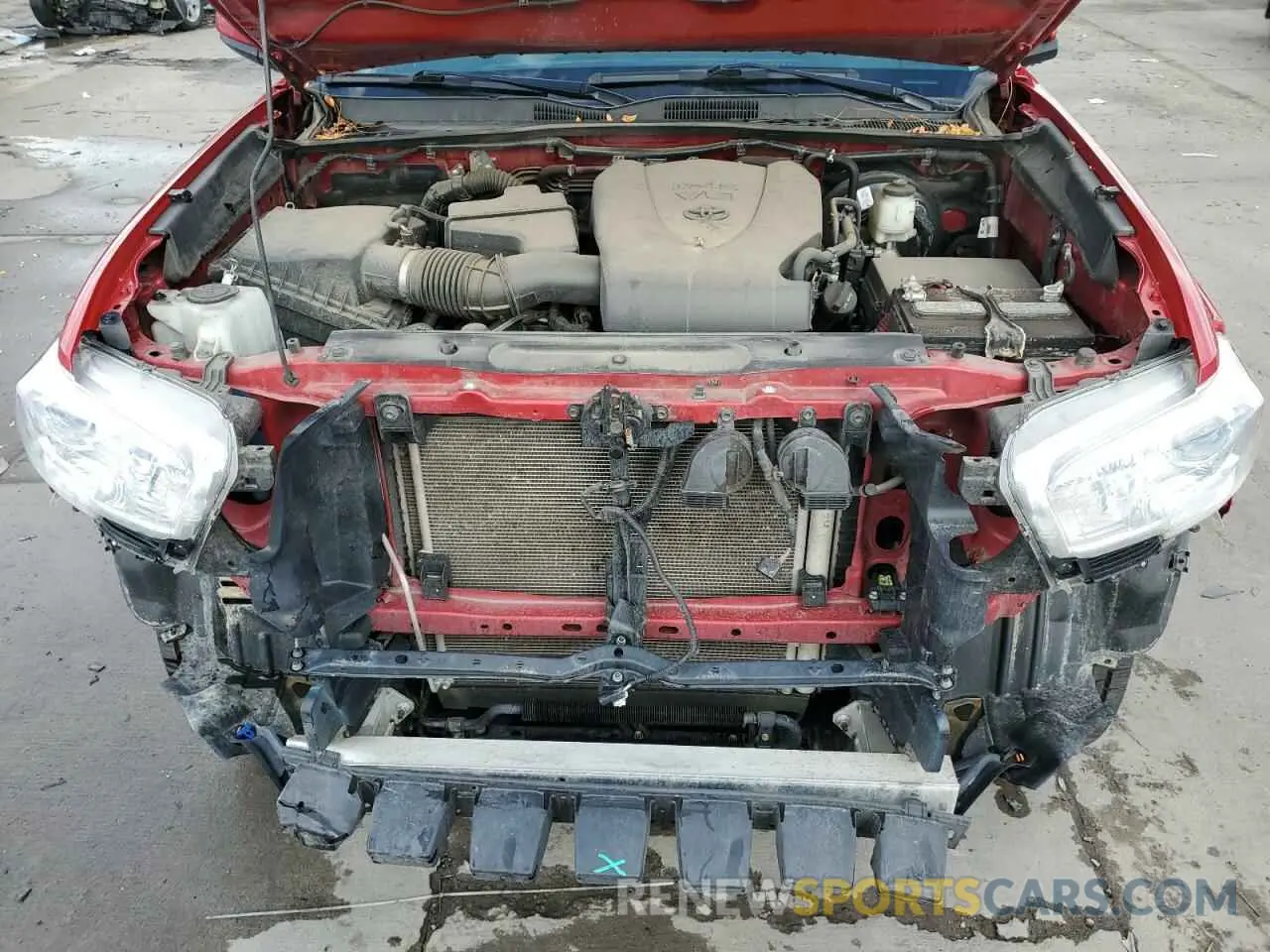 11 fotografías del automóvil dañado 3TMCZ5AN2MM418041 TOYOTA TACOMA 2021