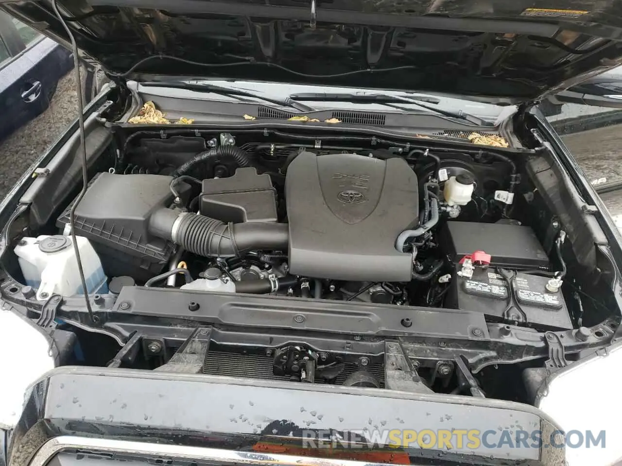7 fotografías del automóvil dañado 3TMCZ5AN3MM410160 TOYOTA TACOMA 2021