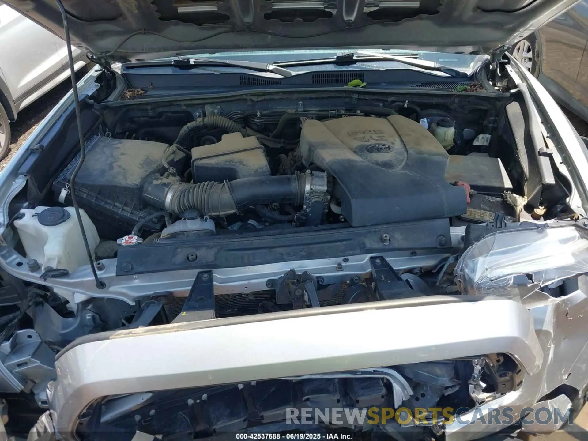 10 fotografías del automóvil dañado 3TMCZ5AN4MM413309 TOYOTA TACOMA 2021