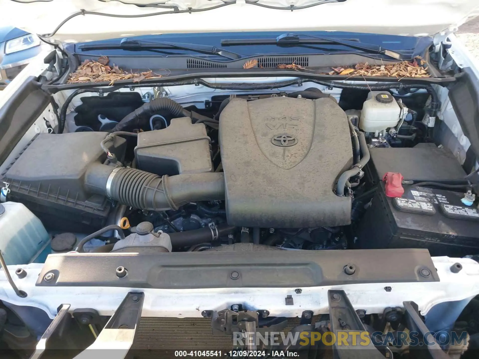 10 fotografías del automóvil dañado 3TMCZ5AN4MM441840 TOYOTA TACOMA 2021
