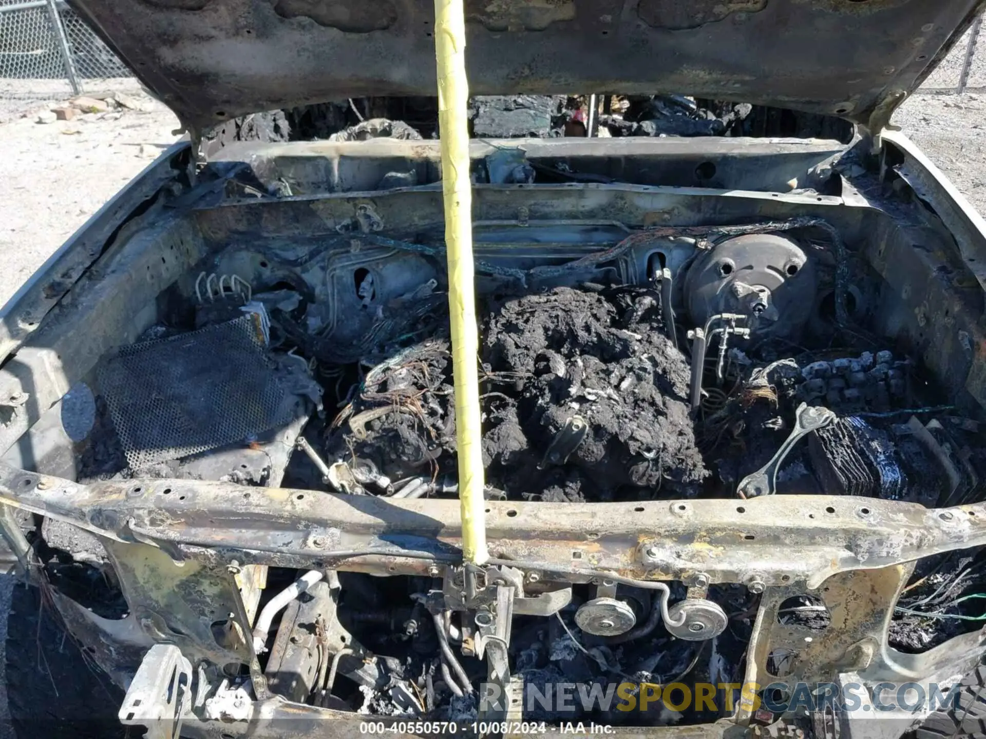 10 fotografías del automóvil dañado 3TMCZ5AN5MM398805 TOYOTA TACOMA 2021