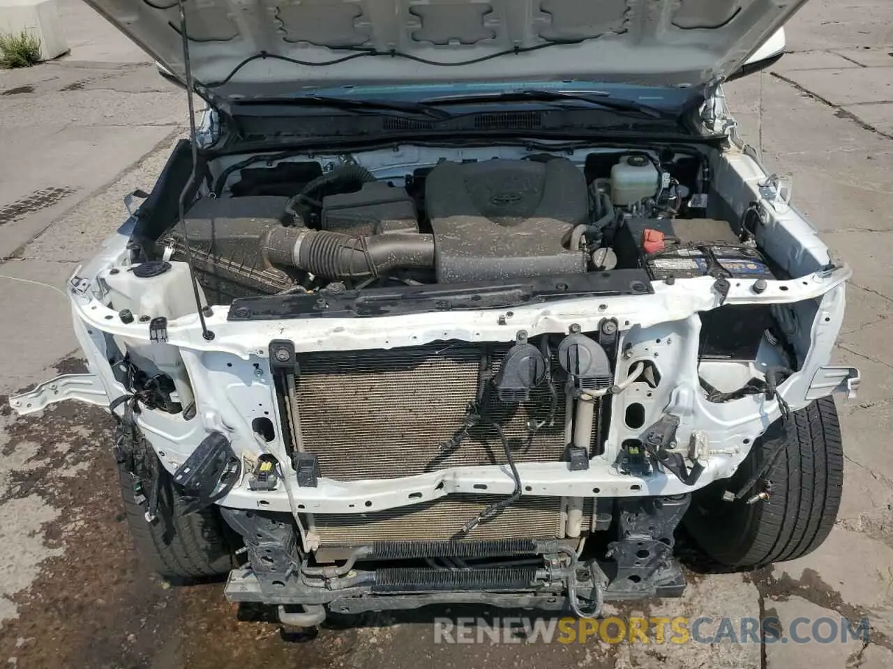 11 fotografías del automóvil dañado 3TMCZ5AN5MM419927 TOYOTA TACOMA 2021