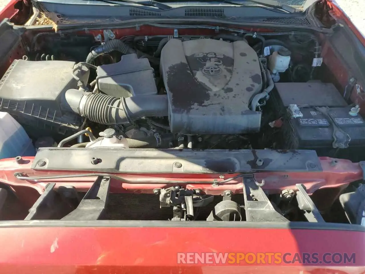 12 fotografías del automóvil dañado 3TMCZ5AN5MM435562 TOYOTA TACOMA 2021