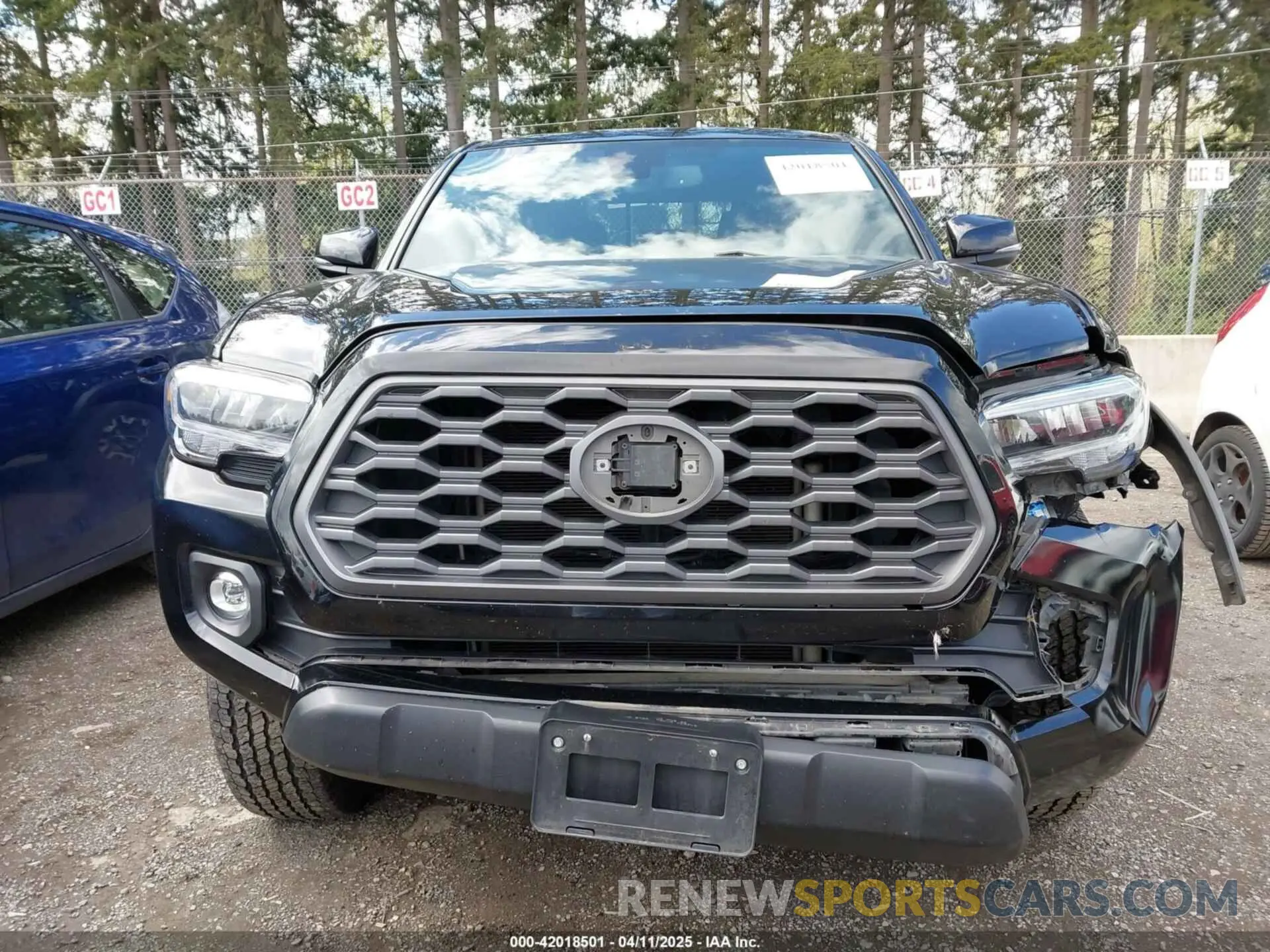 12 fotografías del automóvil dañado 3TMCZ5AN5MM438543 TOYOTA TACOMA 2021