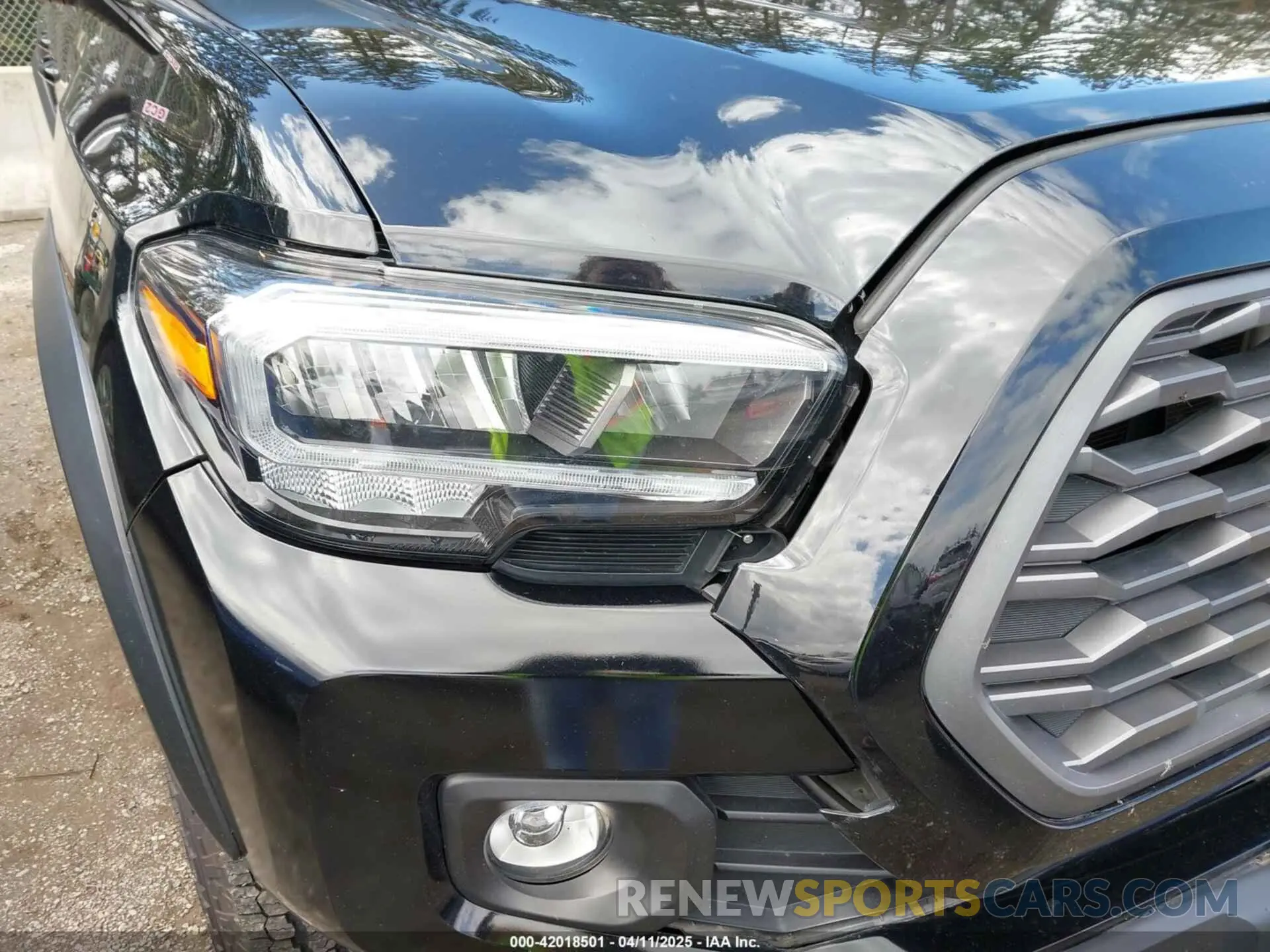 20 fotografías del automóvil dañado 3TMCZ5AN5MM438543 TOYOTA TACOMA 2021
