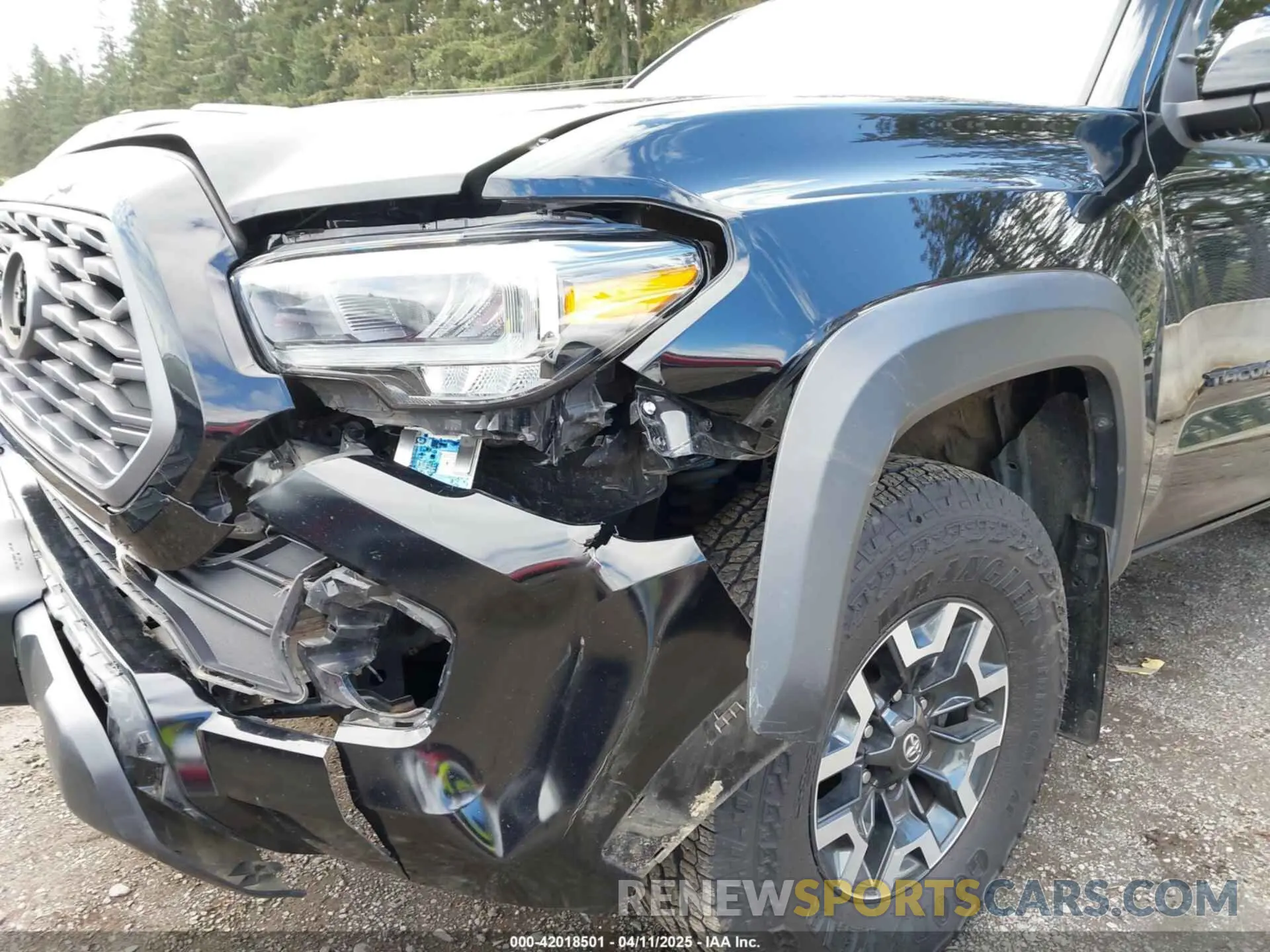 6 fotografías del automóvil dañado 3TMCZ5AN5MM438543 TOYOTA TACOMA 2021