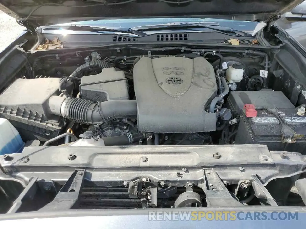 11 fotografías del automóvil dañado 3TMCZ5AN5MM447761 TOYOTA TACOMA 2021