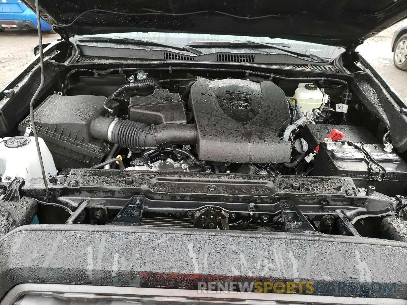 7 fotografías del automóvil dañado 3TMCZ5AN6MM373685 TOYOTA TACOMA 2021