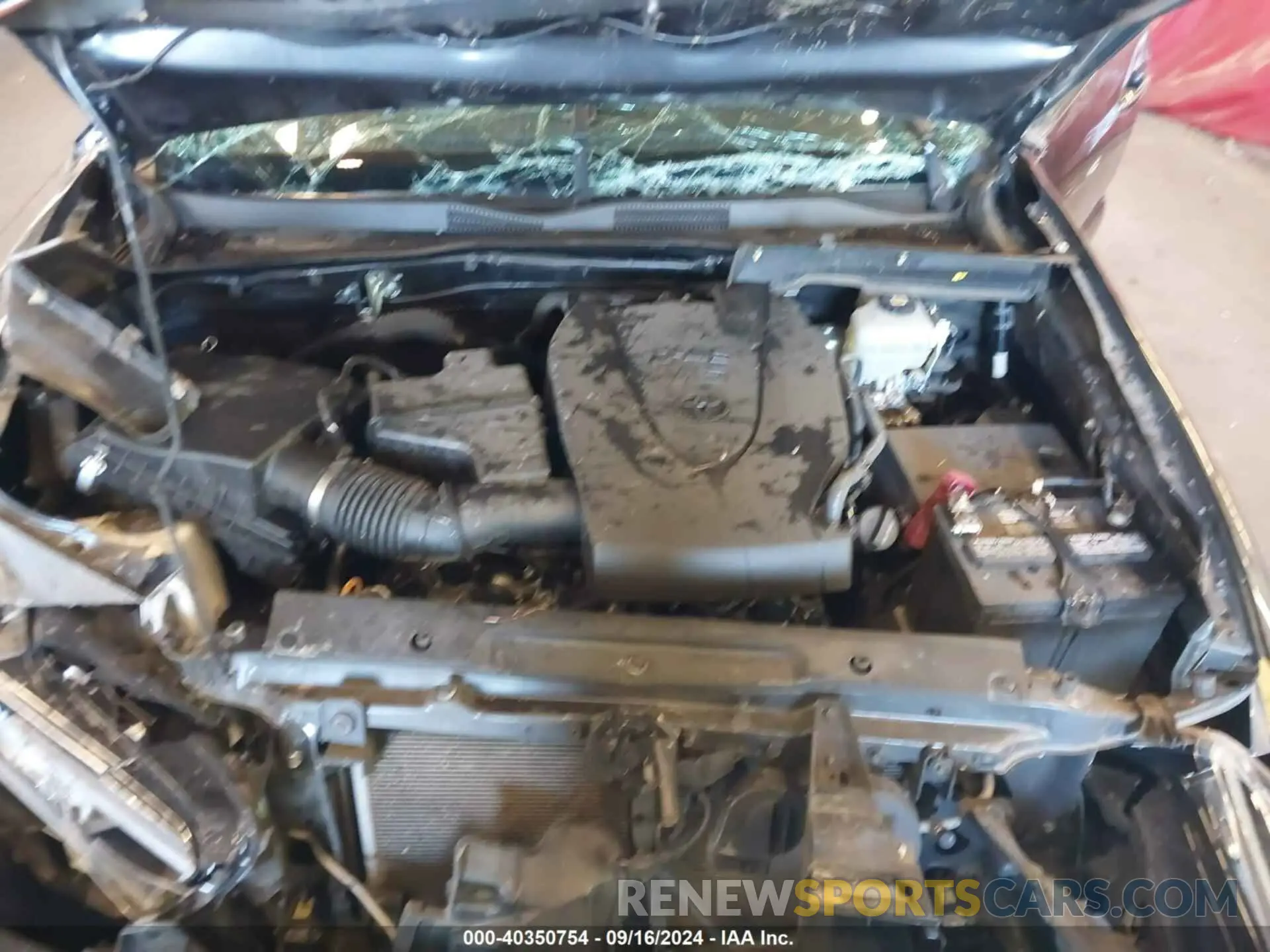 10 fotografías del automóvil dañado 3TMCZ5AN6MM397663 TOYOTA TACOMA 2021