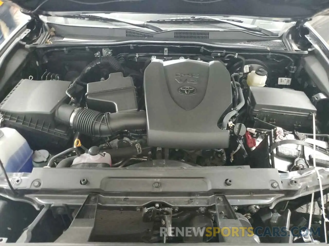 12 fotografías del automóvil dañado 3TMCZ5AN6MM428166 TOYOTA TACOMA 2021