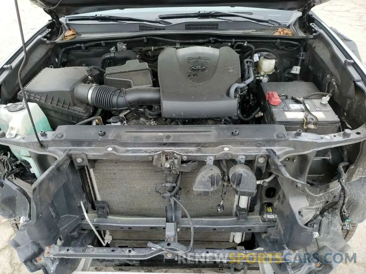 11 fotografías del automóvil dañado 3TMCZ5AN7MM370262 TOYOTA TACOMA 2021