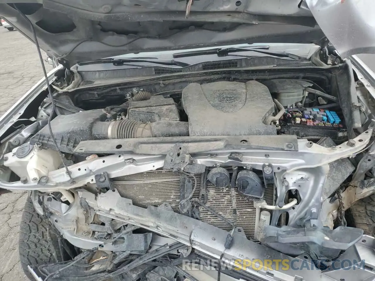 11 fotografías del automóvil dañado 3TMCZ5AN7MM399678 TOYOTA TACOMA 2021