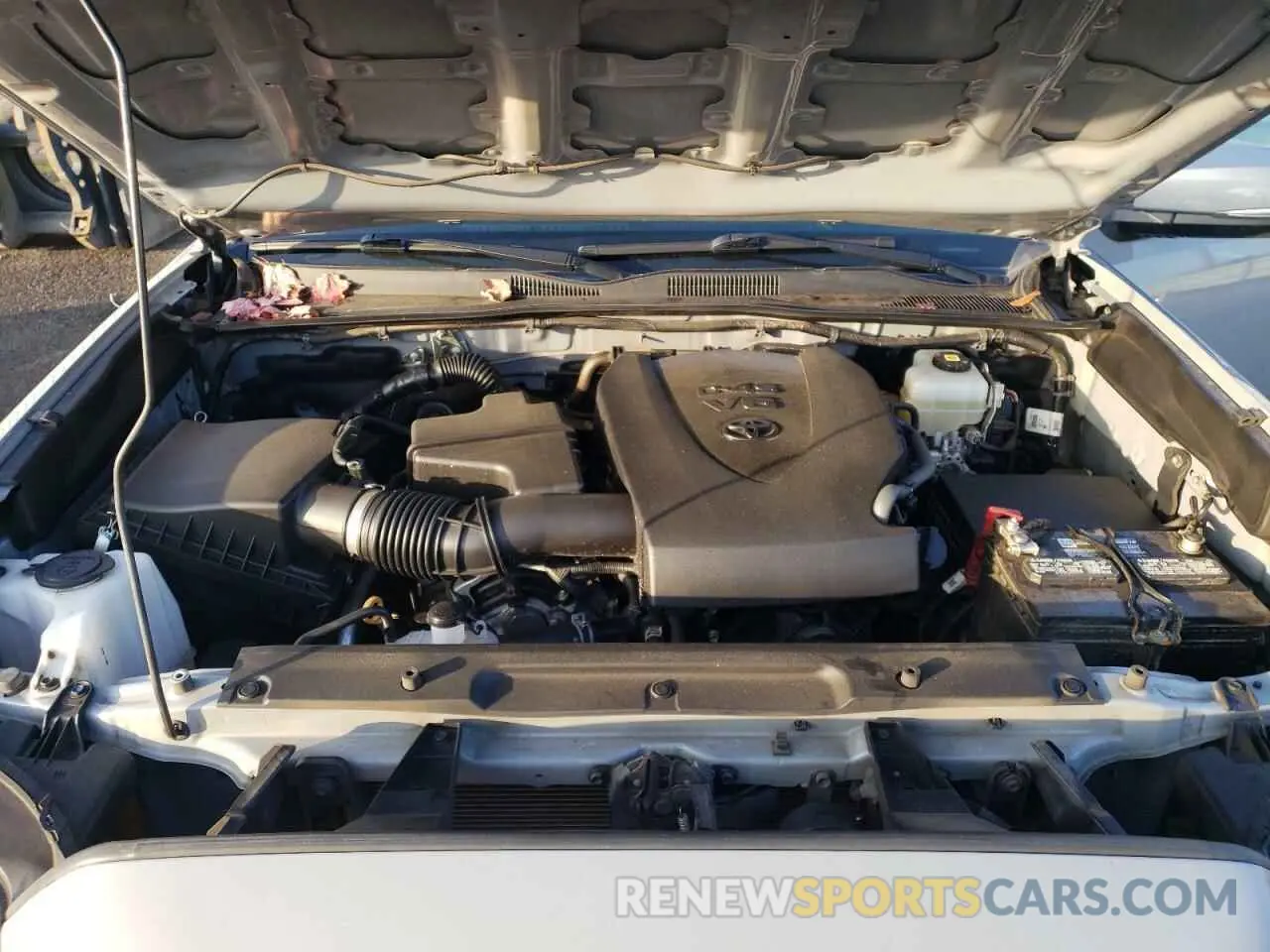 11 fotografías del automóvil dañado 3TMCZ5AN7MM406824 TOYOTA TACOMA 2021