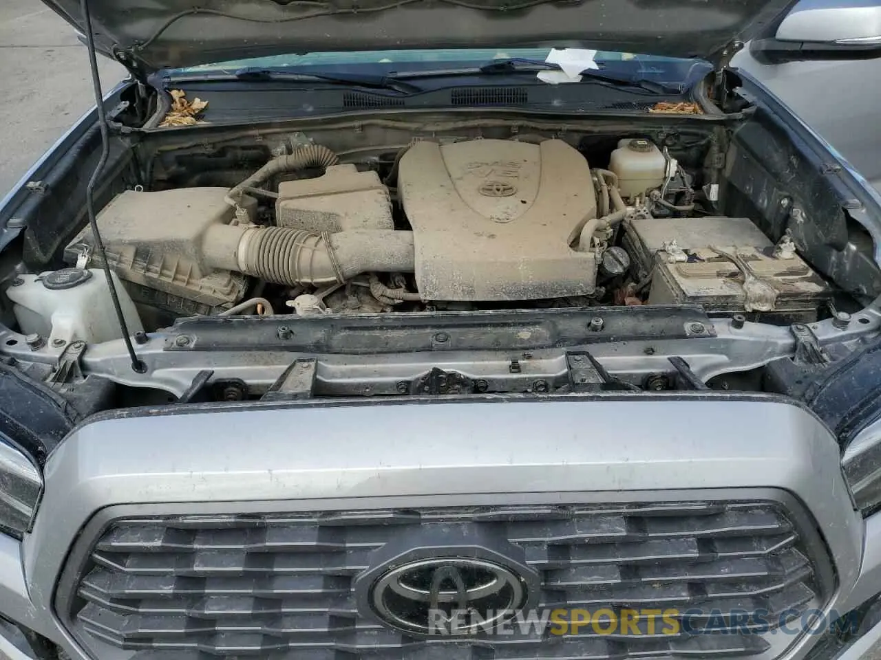11 fotografías del automóvil dañado 3TMCZ5AN8MM382064 TOYOTA TACOMA 2021