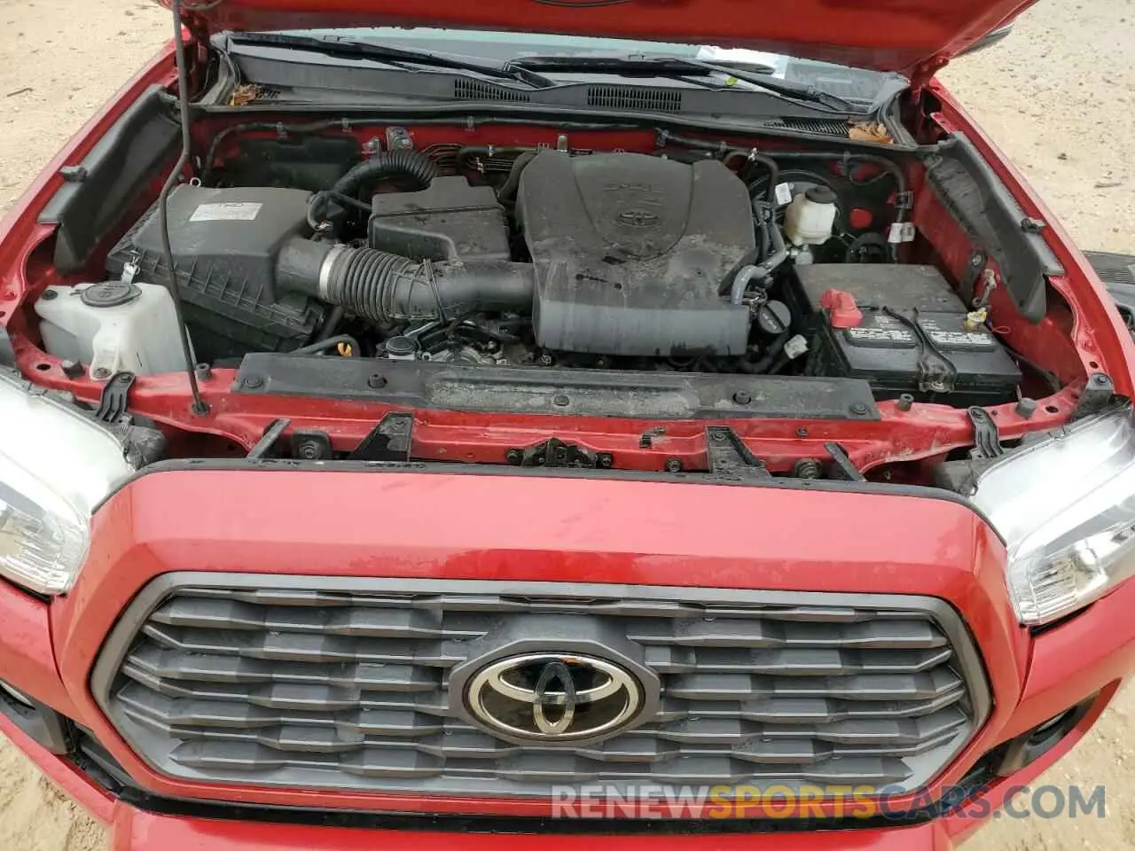 12 fotografías del automóvil dañado 3TMCZ5AN9MM445768 TOYOTA TACOMA 2021