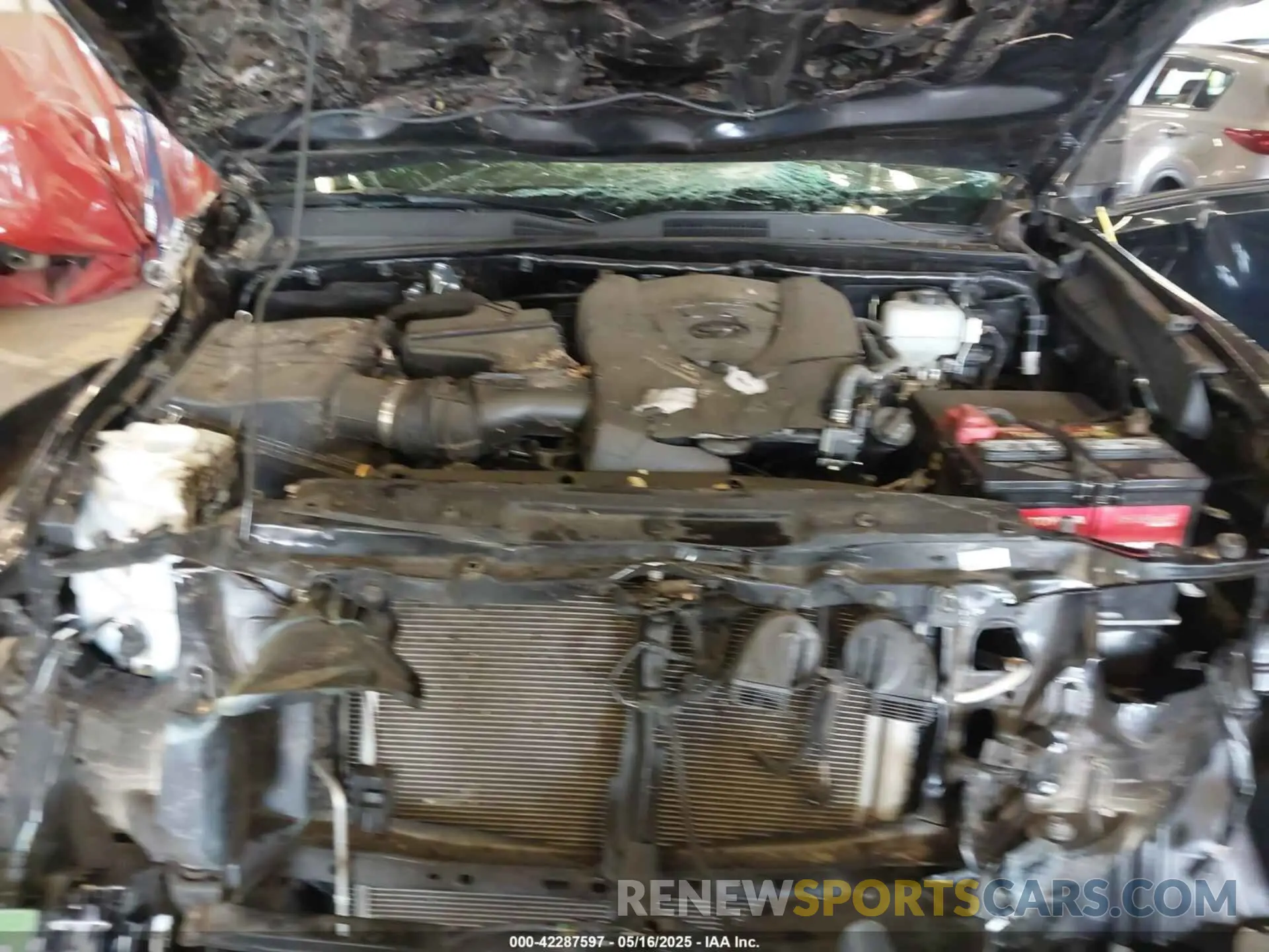 10 fotografías del automóvil dañado 3TMCZ5ANXMM370093 TOYOTA TACOMA 2021
