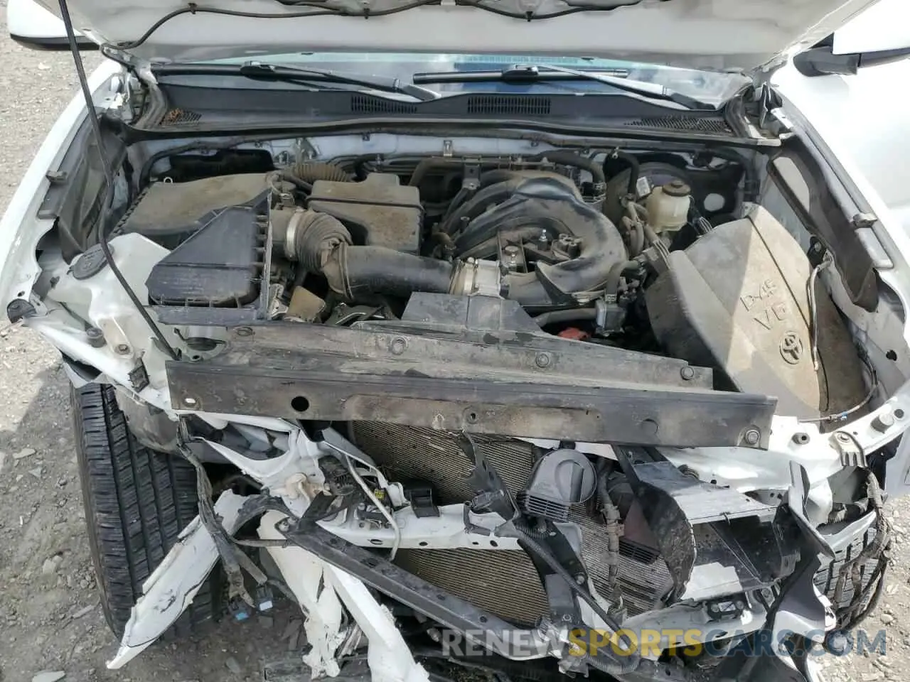 11 fotografías del automóvil dañado 3TMCZ5ANXMM375679 TOYOTA TACOMA 2021