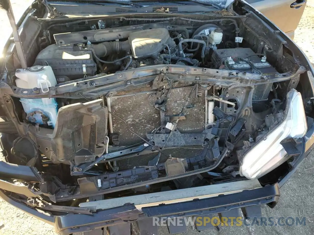 11 fotografías del automóvil dañado 3TYAX5GN3MT026095 TOYOTA TACOMA 2021