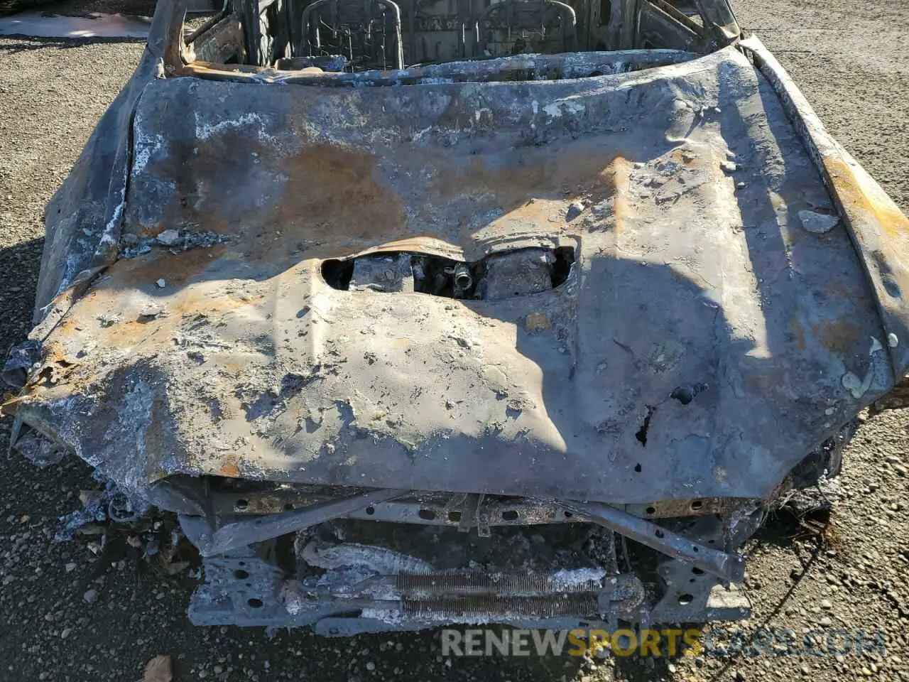 11 fotografías del automóvil dañado 3TYCZ5AN2MT044020 TOYOTA TACOMA 2021
