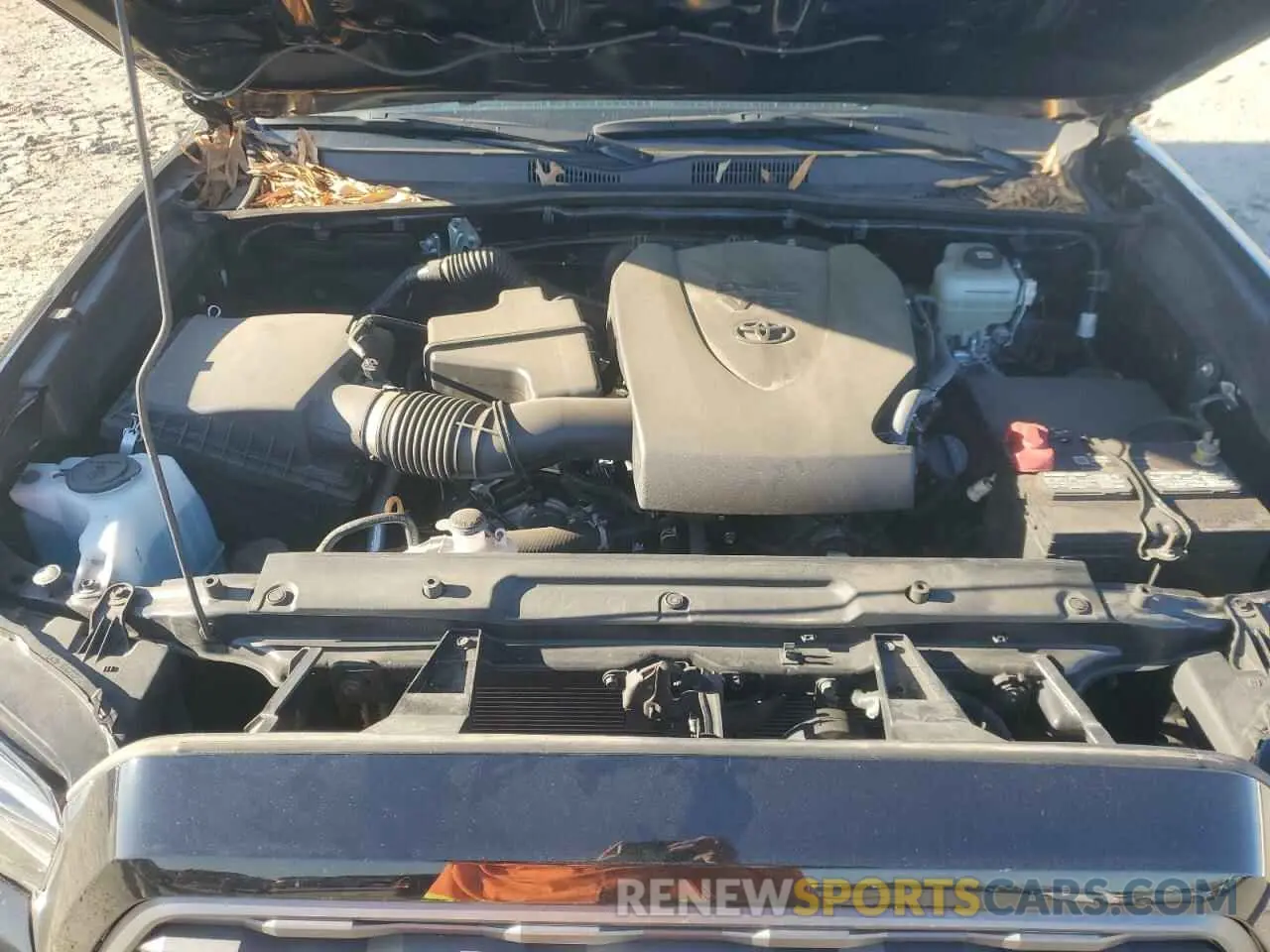 12 fotografías del automóvil dañado 3TYCZ5AN8MT029330 TOYOTA TACOMA 2021