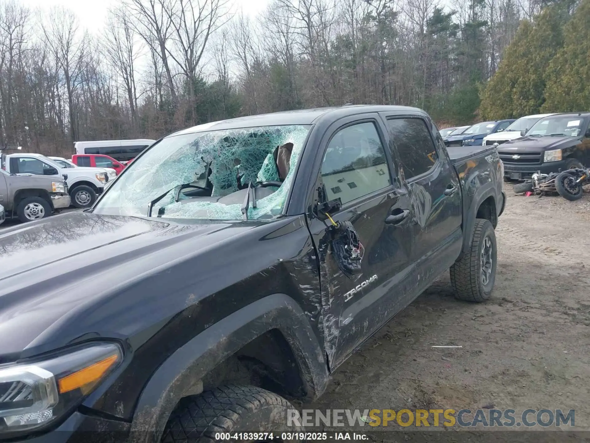 6 fotografías del automóvil dañado 3TYCZ5AN9MT015131 TOYOTA TACOMA 2021
