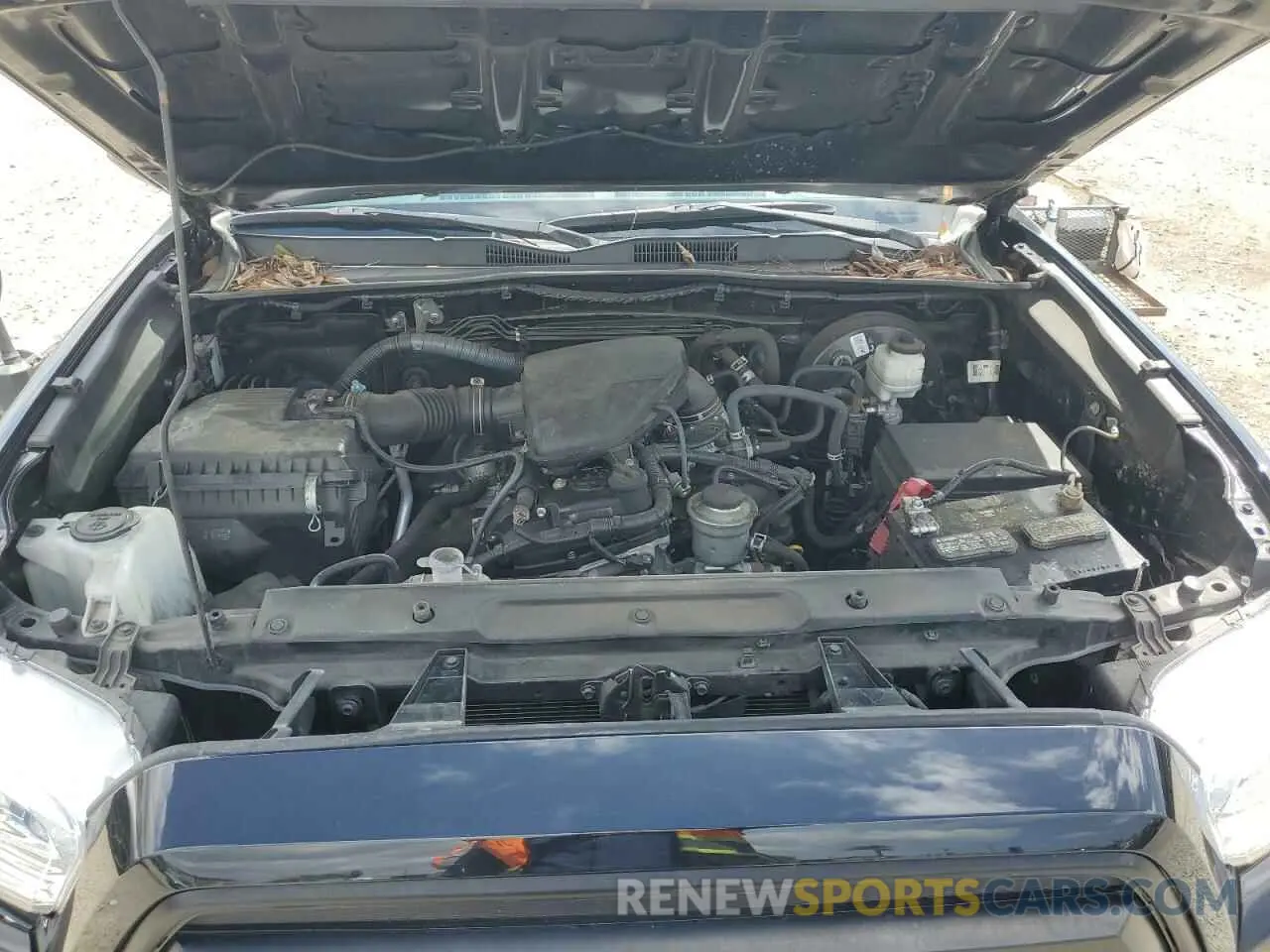 11 fotografías del automóvil dañado 3TYRX5GN5MT017062 TOYOTA TACOMA 2021