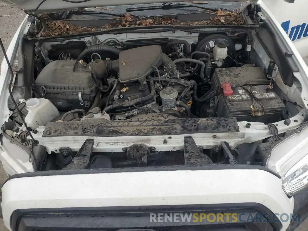 11 fotografías del automóvil dañado 3TYRX5GN7MT025941 TOYOTA TACOMA 2021