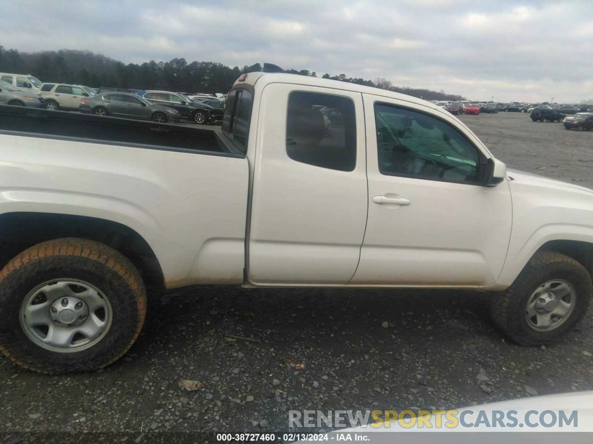 13 fotografías del automóvil dañado 3TYSX5EN0MT006944 TOYOTA TACOMA 2021