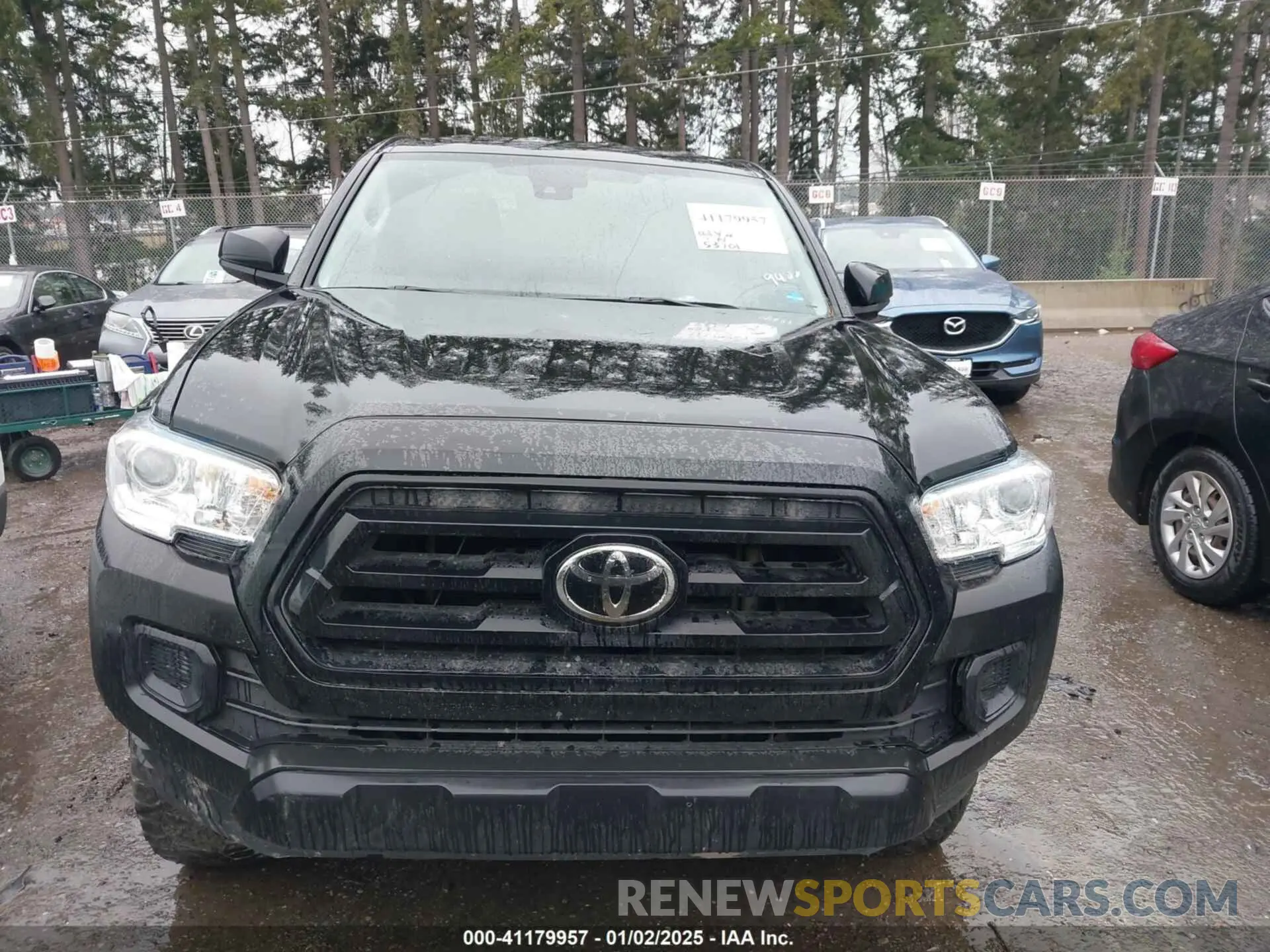 12 fotografías del automóvil dañado 3TYSX5EN8MT009400 TOYOTA TACOMA 2021