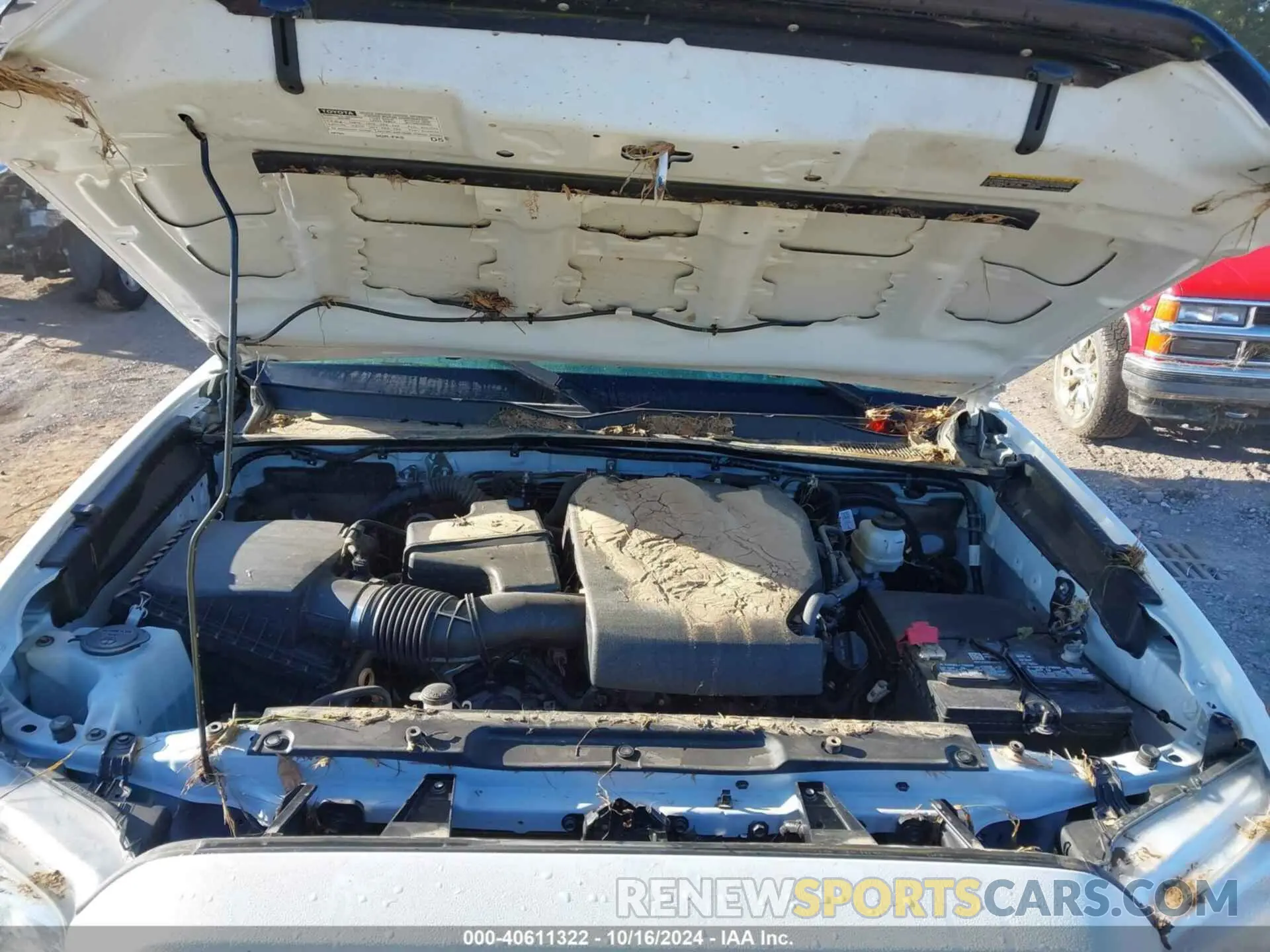 10 fotografías del automóvil dañado 3TYSZ5AN1MT043906 TOYOTA TACOMA 2021