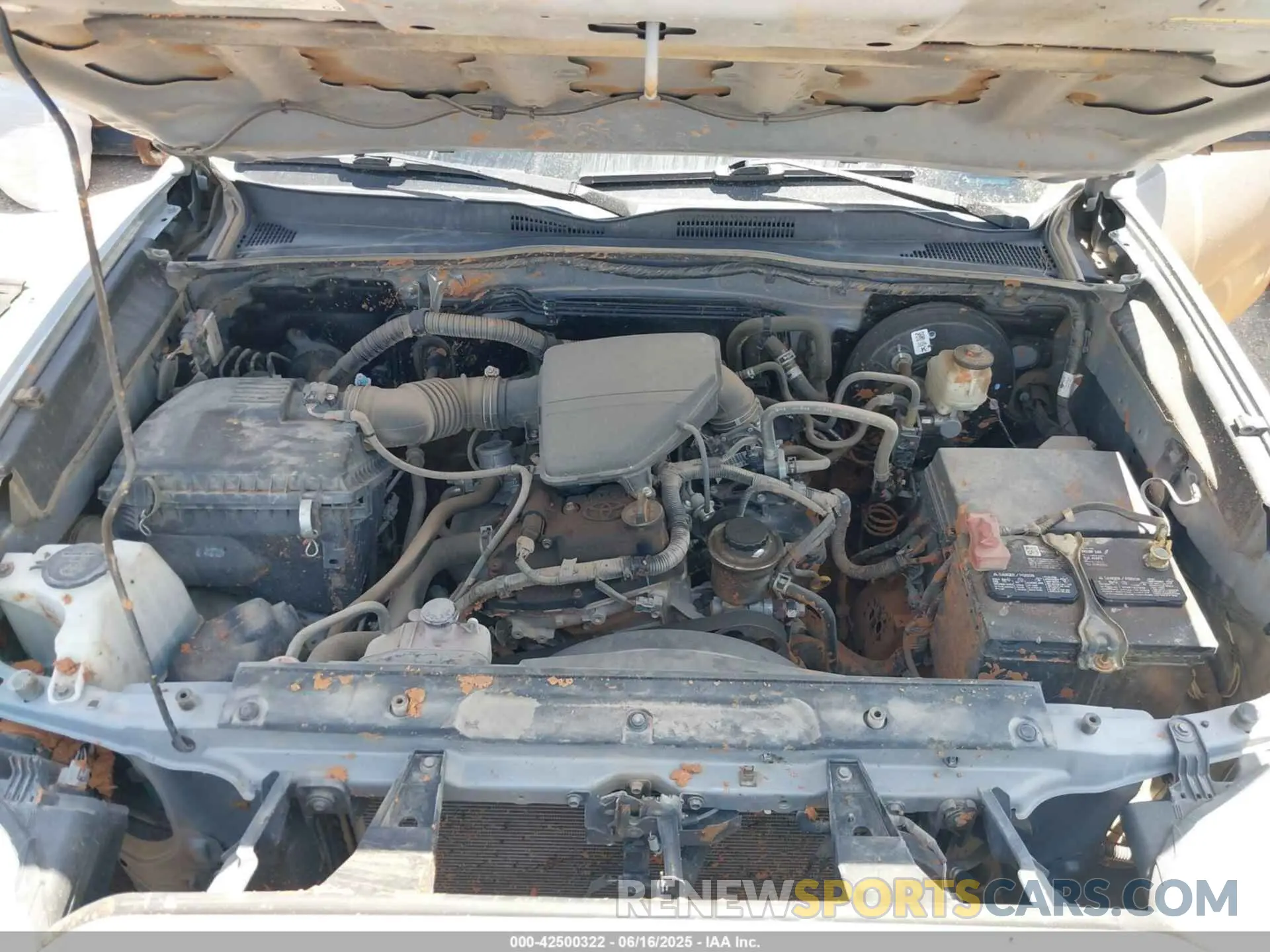 10 fotografías del automóvil dañado 5TFAX5GN1MX190693 TOYOTA TACOMA 2021