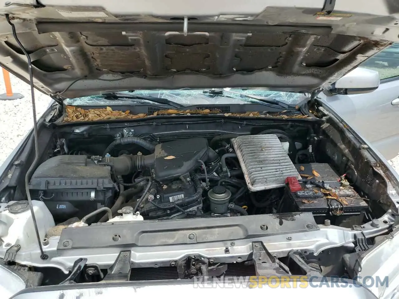 11 fotografías del automóvil dañado 5TFAX5GN5MX192513 TOYOTA TACOMA 2021