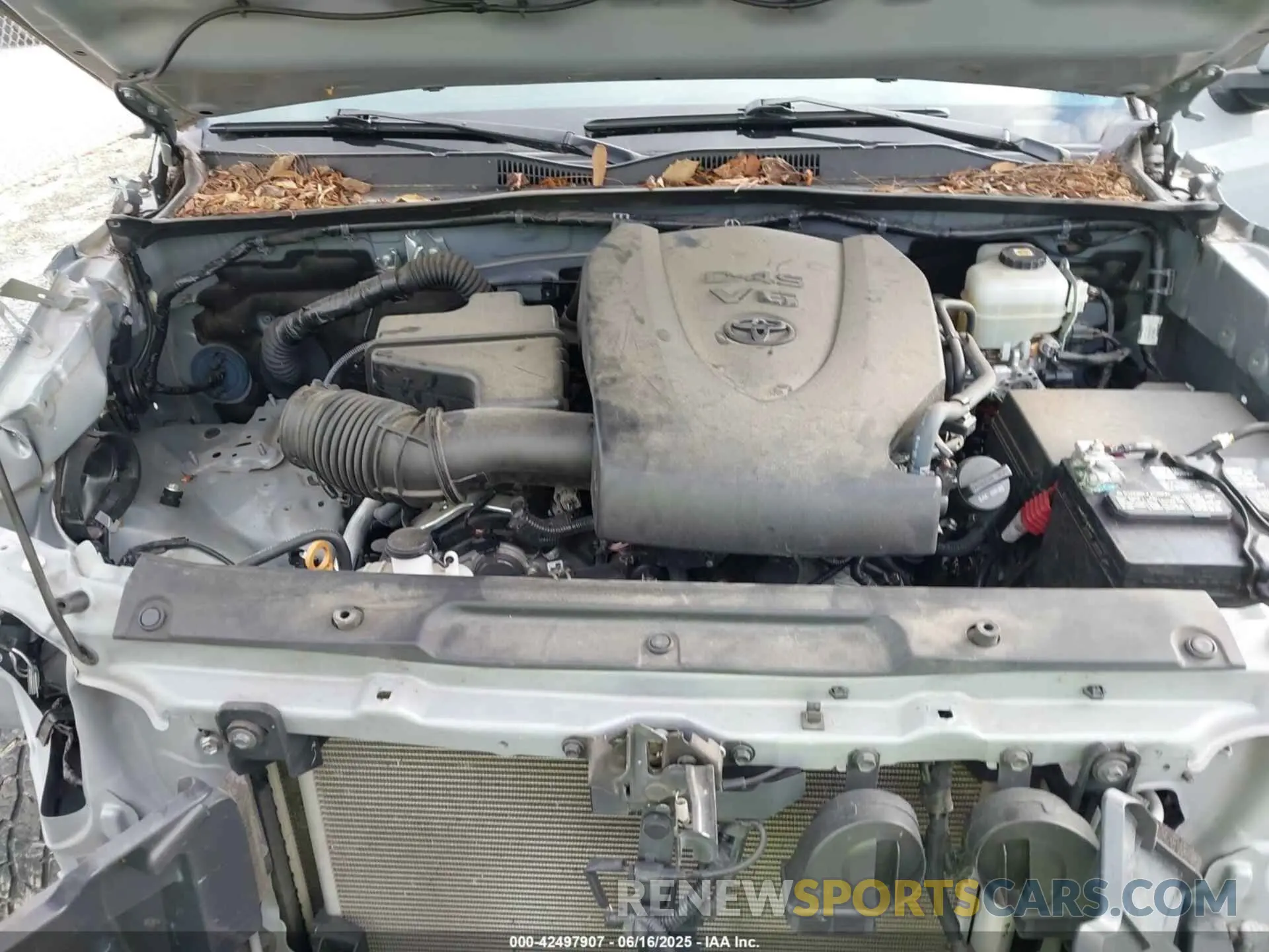 10 fotografías del automóvil dañado 5TFCZ5AN7MX255512 TOYOTA TACOMA 2021