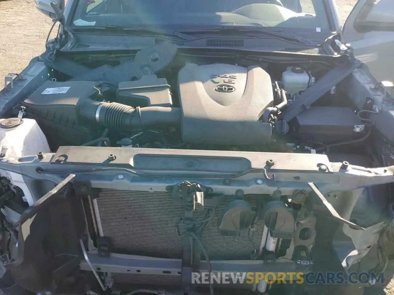12 fotografías del automóvil dañado 3TMCZ5AN5NM531029 TOYOTA TACOMA 2022