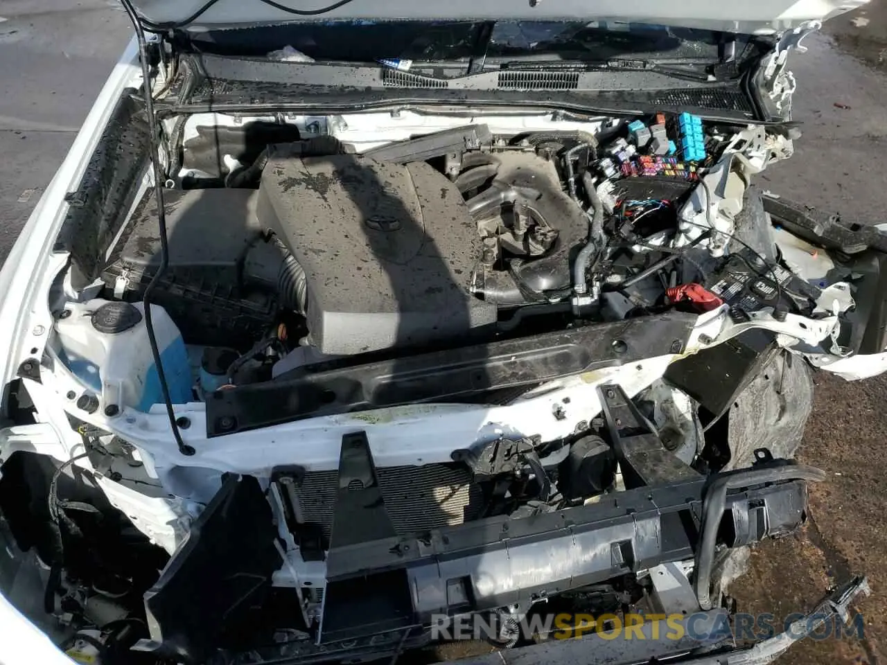 11 fotografías del automóvil dañado 3TMCZ5AN7NM492542 TOYOTA TACOMA 2022