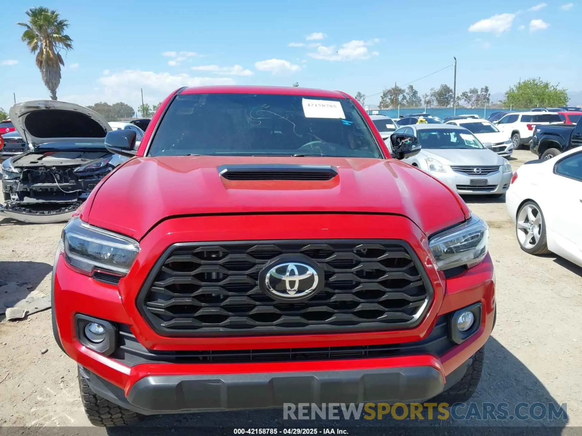 12 fotografías del automóvil dañado 3TMEZ5CNXNM173075 TOYOTA TACOMA 2022