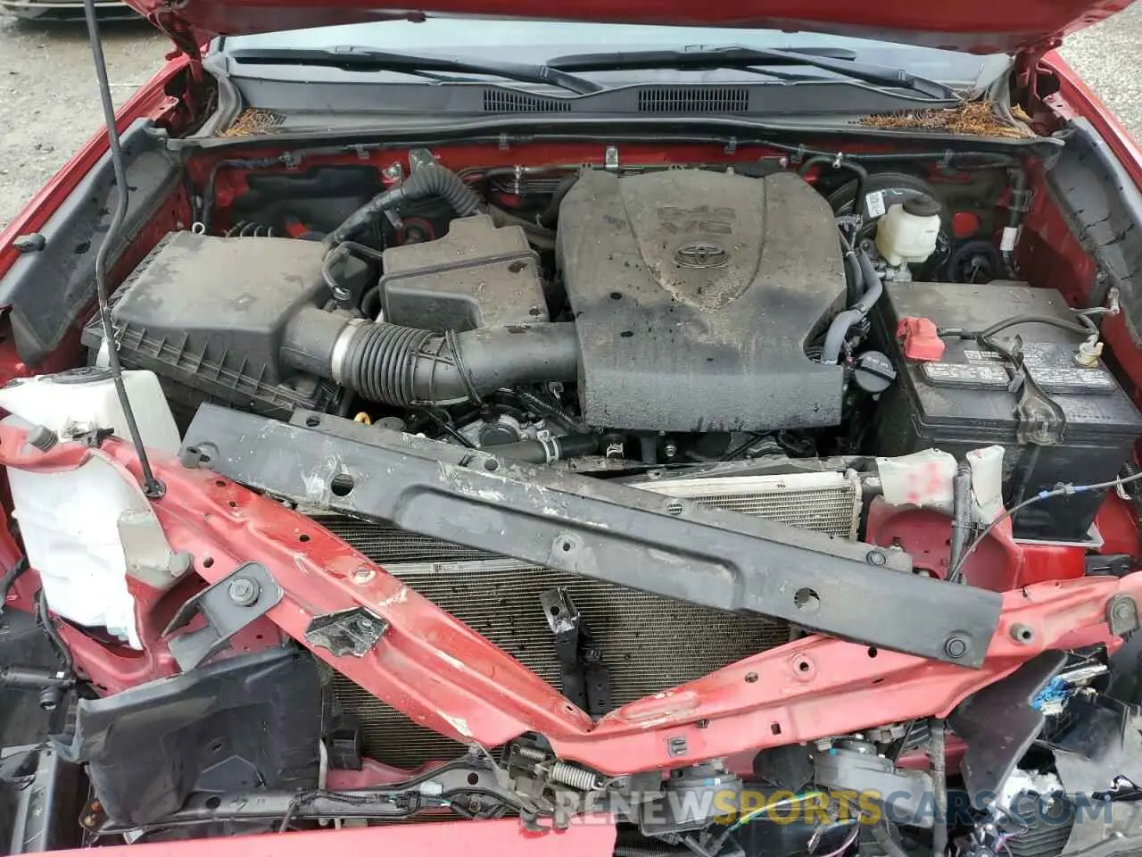 11 fotografías del automóvil dañado 3TYSZ5AN7NT056726 TOYOTA TACOMA 2022