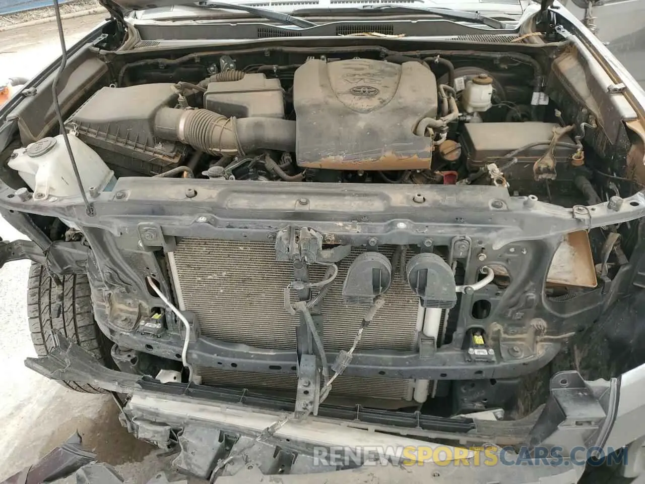 11 fotografías del automóvil dañado 3TMAZ5CN1PM197668 TOYOTA TACOMA 2023