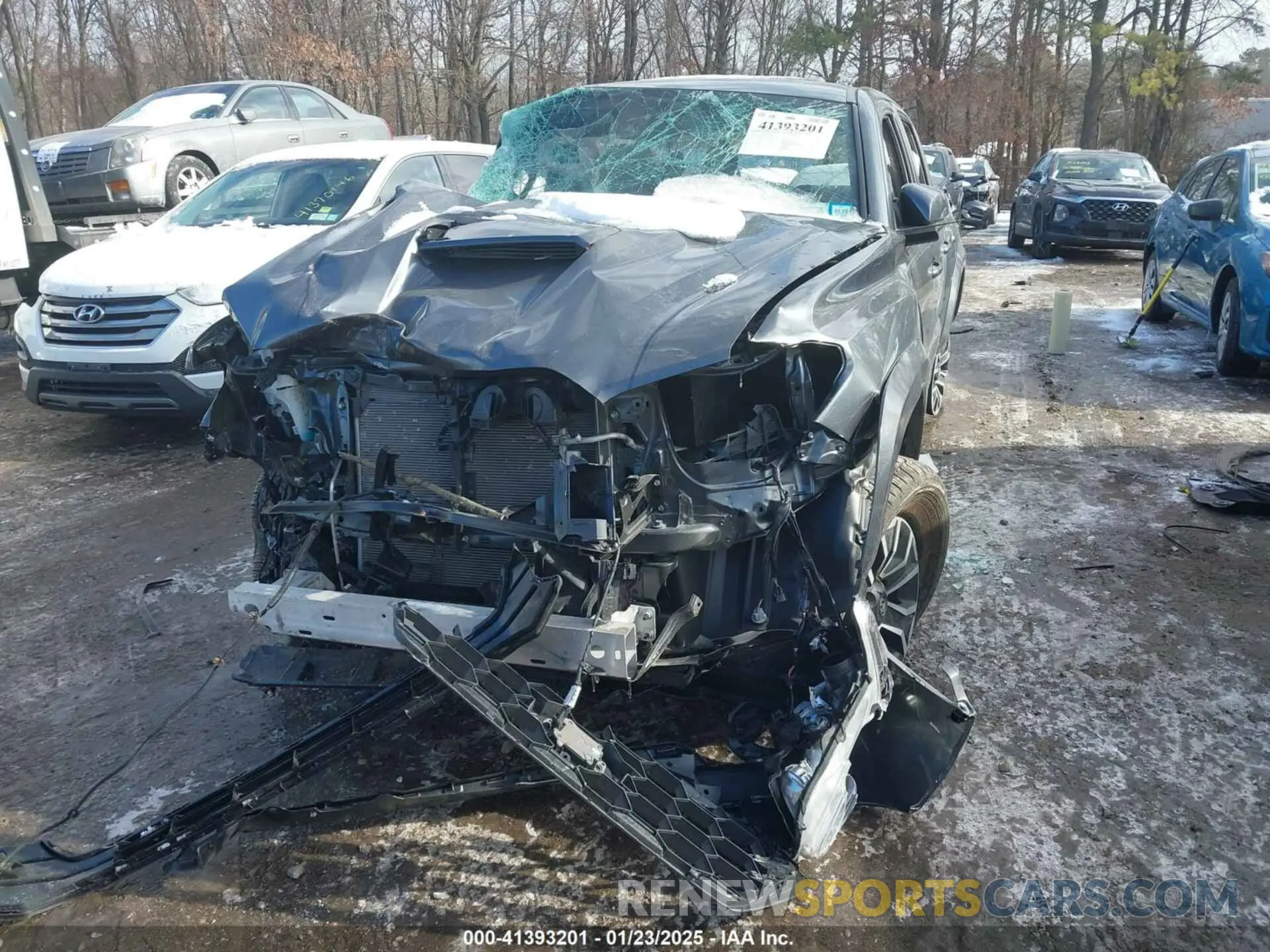 12 fotografías del automóvil dañado 3TMCZ5AN0PM534245 TOYOTA TACOMA 2023