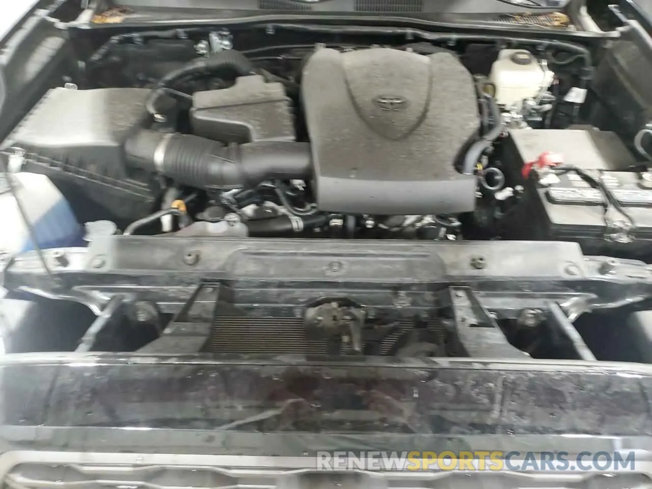 11 fotografías del automóvil dañado 3TMCZ5AN0PM636130 TOYOTA TACOMA 2023