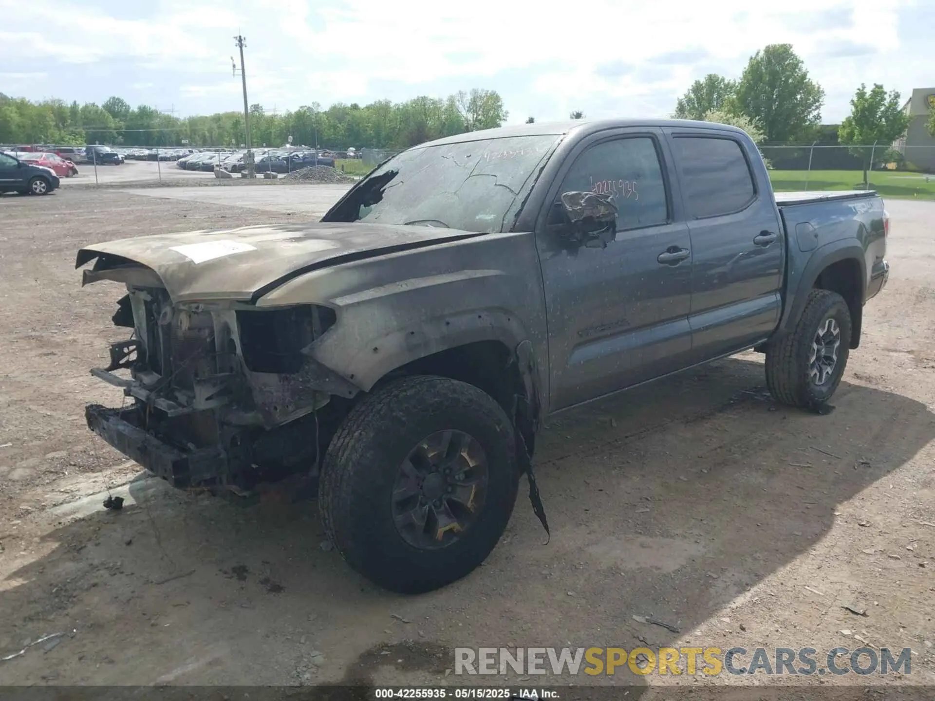 2 fotografías del automóvil dañado 3TMCZ5AN0PM636306 TOYOTA TACOMA 2023