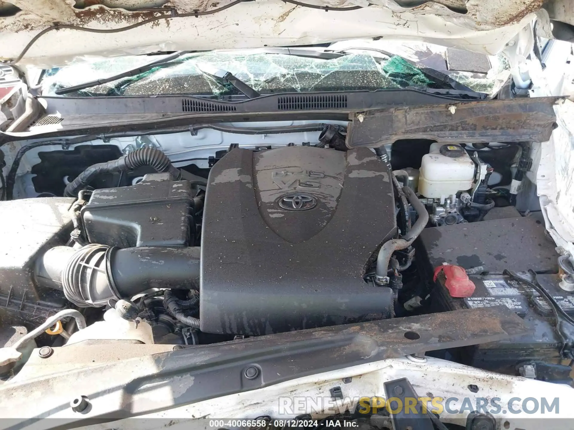 10 fotografías del automóvil dañado 3TMCZ5AN0PM638394 TOYOTA TACOMA 2023