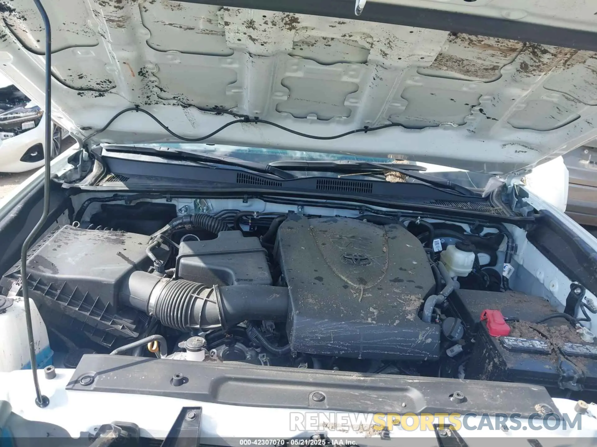 10 fotografías del automóvil dañado 3TMCZ5AN1PM580022 TOYOTA TACOMA 2023
