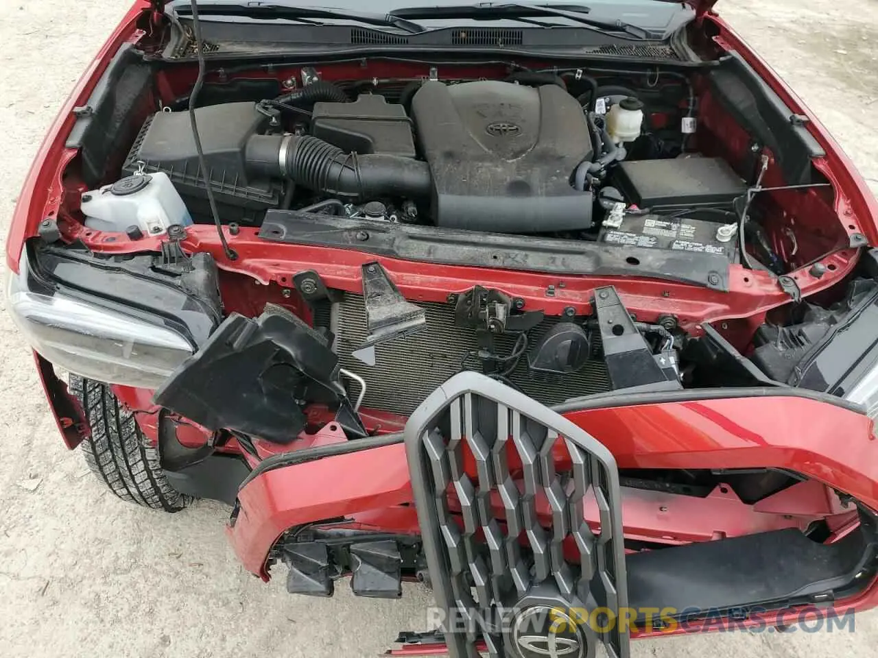 13 fotografías del automóvil dañado 3TMCZ5AN1PM614833 TOYOTA TACOMA 2023
