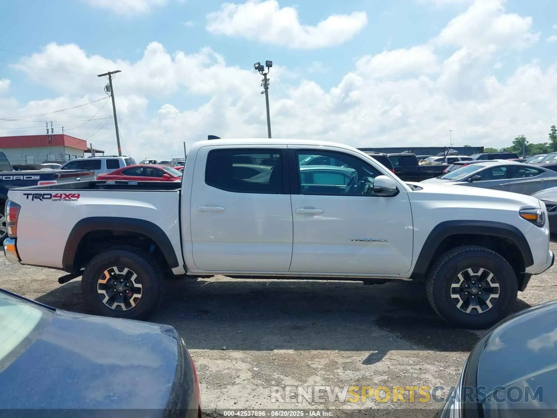 13 fotografías del automóvil dañado 3TMCZ5AN1PM655009 TOYOTA TACOMA 2023
