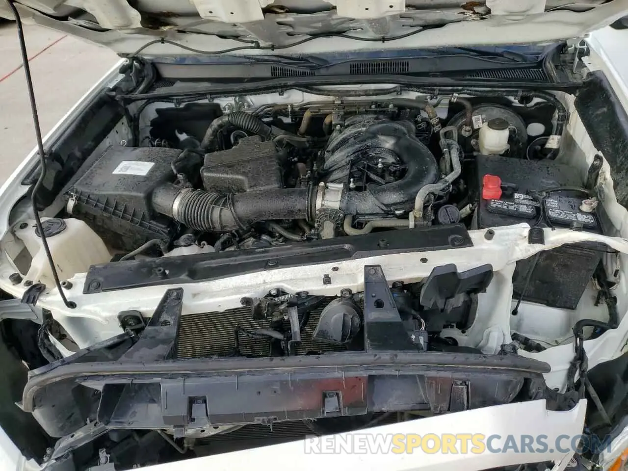 11 fotografías del automóvil dañado 3TMCZ5AN2PM546204 TOYOTA TACOMA 2023