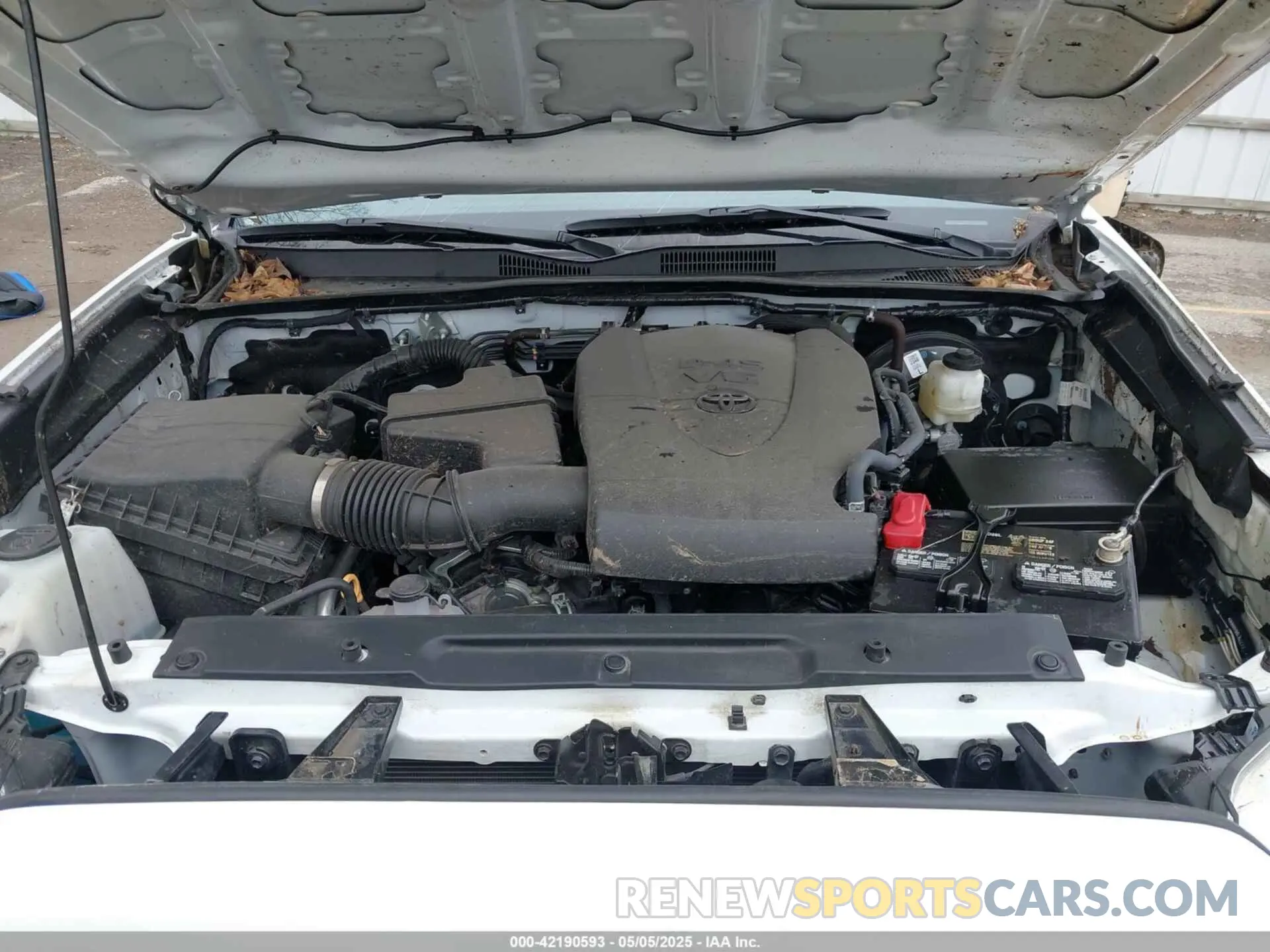 10 fotografías del automóvil dañado 3TMCZ5AN2PM630667 TOYOTA TACOMA 2023